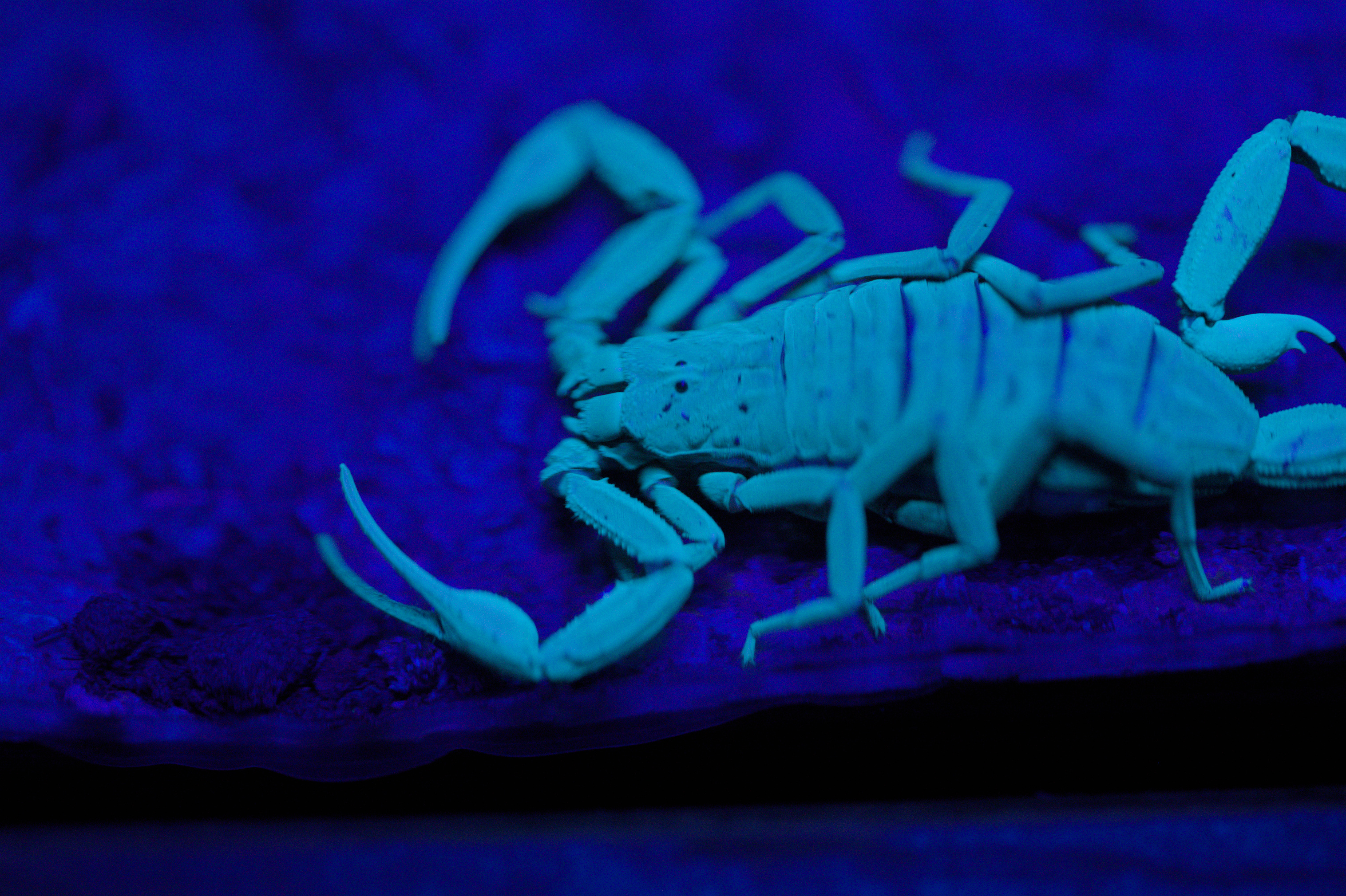 2025/10/12 - zoo/DSC_0269.jpg